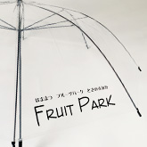 透明 ビニール面 1面